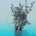 3D Modell Растения Pflanzen - Vorschau