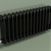 3D Modell Kühler TESI 3 (H 300 15EL, Schwarz - RAL 9005) - Vorschau