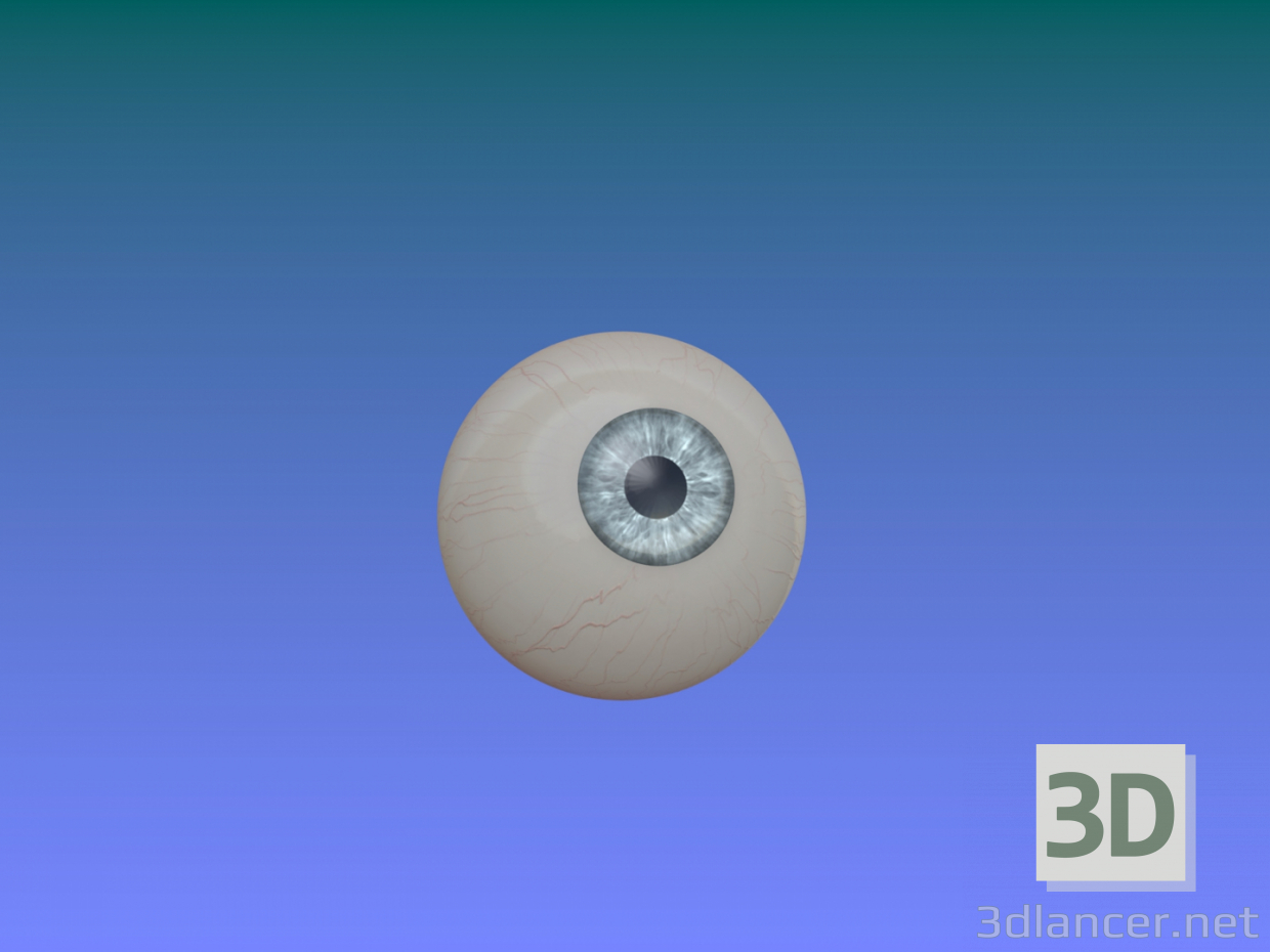 modello 3D bulbo oculare - anteprima