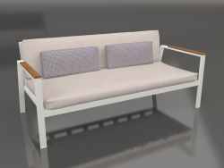 2-Sitzer-Sofa (Achatgrau)