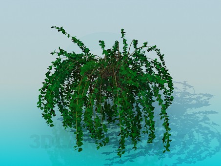 modello 3D piante da interni - anteprima