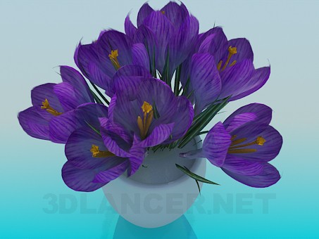 3d model Crocuses in a Vase - preview