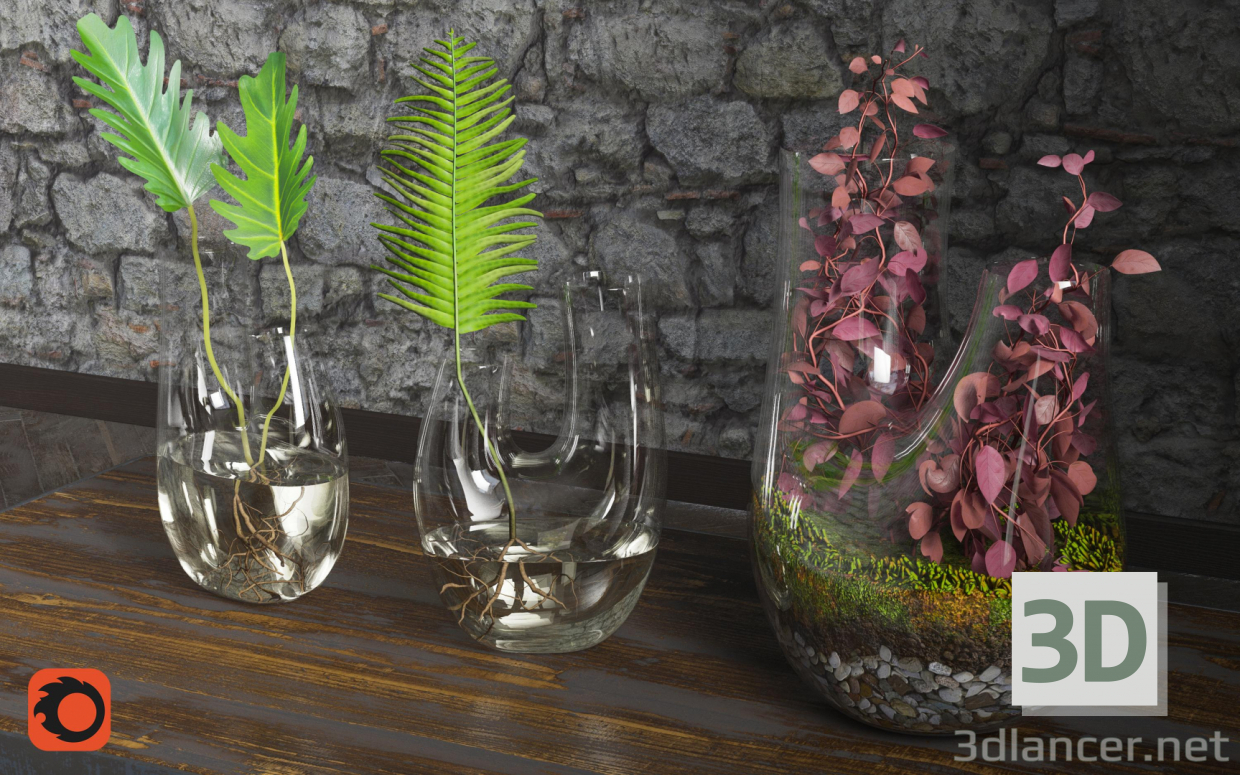 modèle 3D de Terrarium végétal. ENSEMBLE PREVIEWNUM #