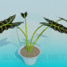 3d модель Растение – превью