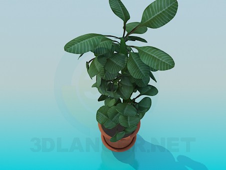 Modelo 3d Planta - preview