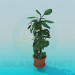 modèle 3D Plante - preview