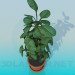 3d model Plant - preview