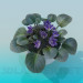 modèle 3D Violettes - preview