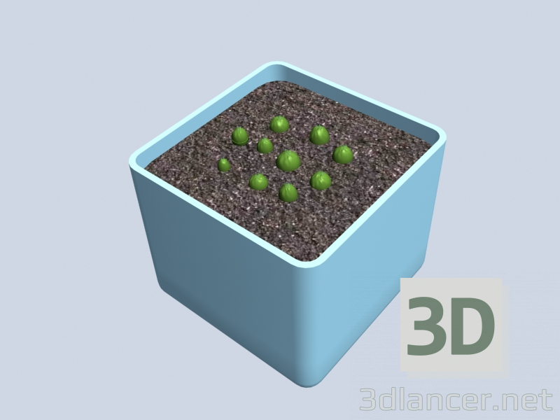 modello 3D Cactus di semina - anteprima