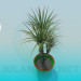 3D Modell Palme im Topf - Vorschau