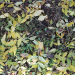 Leaves buy texture for 3d max