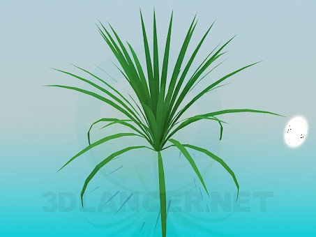 3d модель Растение – превью