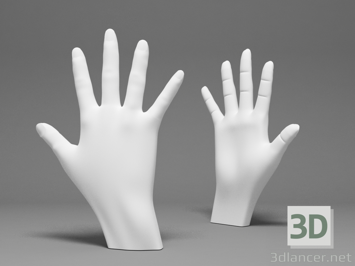 3D Modell Hände - Vorschau