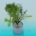 modello 3D Vaso con pianta verde - anteprima