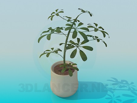 modèle 3D Pot - preview