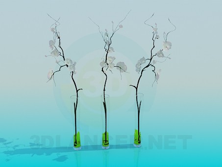 3D Modell Vasen mit Orchideen - Vorschau