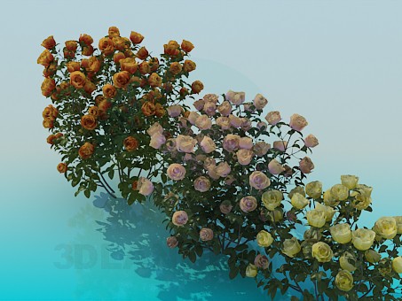 3 डी मॉडल झाड़ियों गुलाब - पूर्वावलोकन