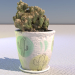 3d Home cactus in a pot model buy - render