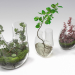 modello 3D di Terrario vegetale. SET PREVIEWNUM #