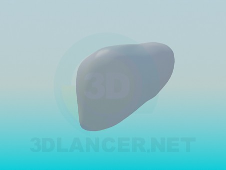 modello 3D Fegato umano - anteprima