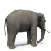 3d Asian Elephant Rigged Low-poly 3D model model buy - render