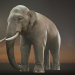 3d Asian Elephant Rigged Low-poly 3D model model buy - render