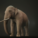 3d Asian Elephant Rigged Low-poly 3D model модель купити - зображення