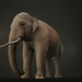 3D Asya fili arma düşük Poli 3D model modeli satın - render