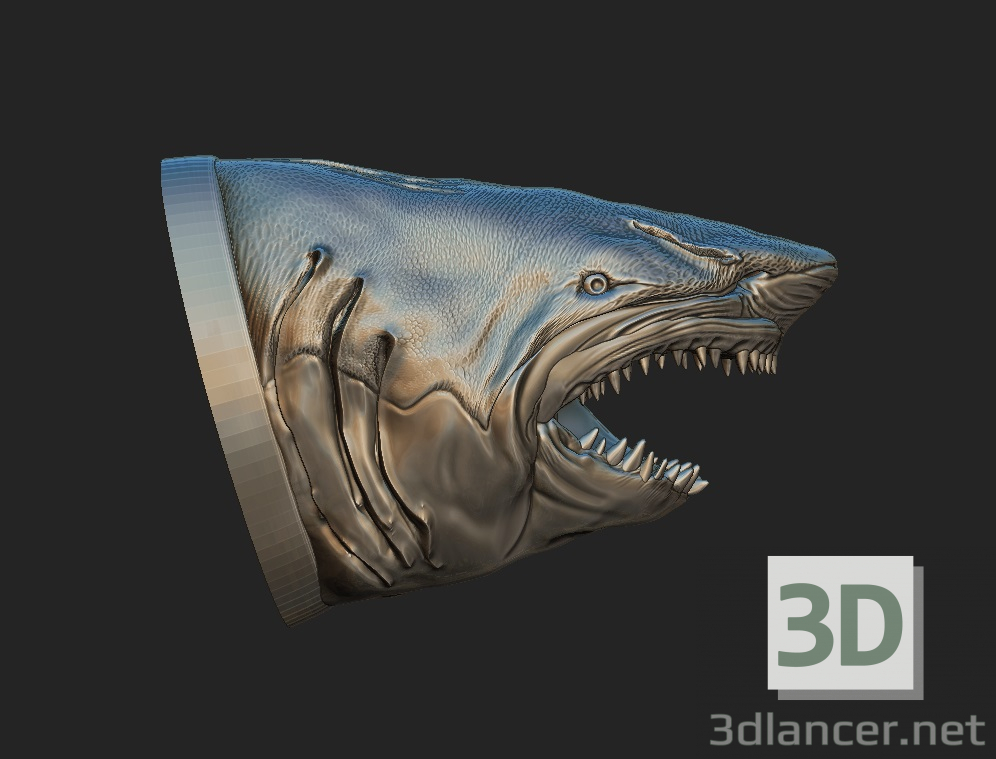 3 डी शार्क मॉडल खरीद - रेंडर