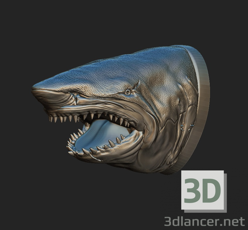3D Köpek balığı modeli satın - render