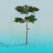 3d model Pine - preview