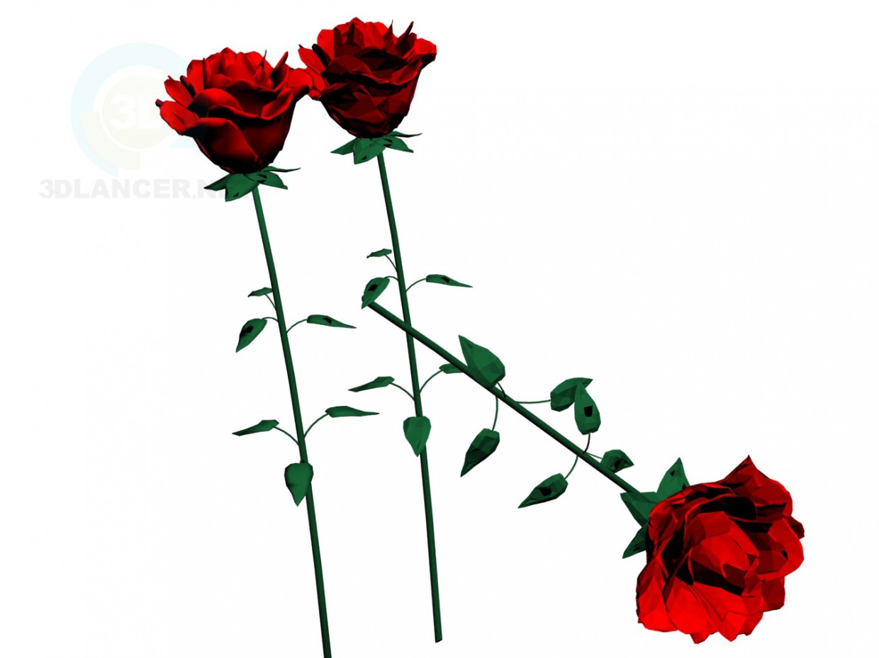 3d модель Троянди – превью