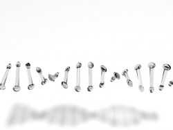 La molécula de ADN