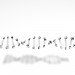 modello 3D Molecola Il DNA - anteprima