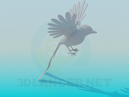 modèle 3D Oiseau - preview
