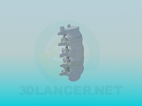 modello 3D Le vertebre - anteprima