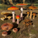3d Mushrooms Set1 model buy - render