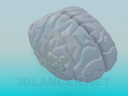 मानव मस्तिष्क