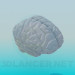 3d модель Людський мозок – превью