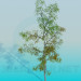 3D modeli Huş ağacı - önizleme