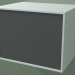 3D Modell Box (8AUABA01, Gletscherweiß C01, HPL P05, L 48, P 36, H 36 cm) - Vorschau