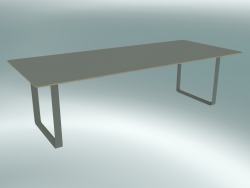 Table 70/70, 255x108cm (Gris)