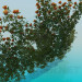 3d модель Роза плетистая кремовые цветы – превью