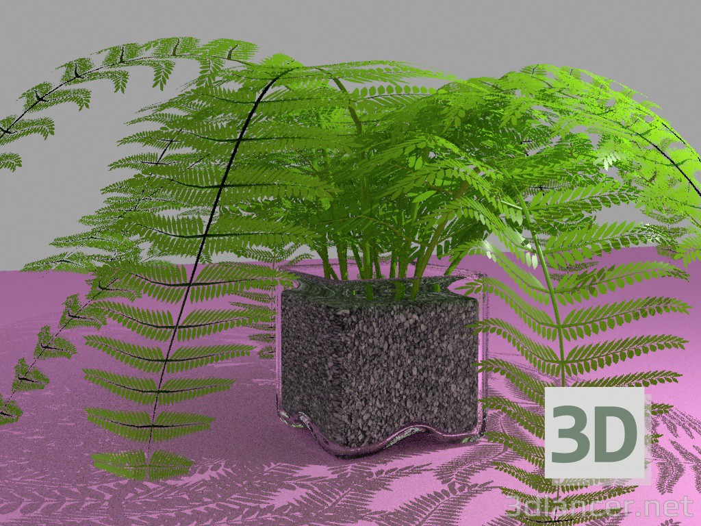3D modeli Fern bir vazoda - önizleme