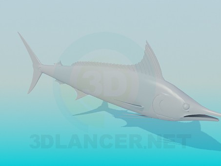 modello 3D Pesce spada - anteprima