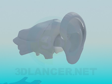 3d model The human ear - preview