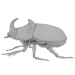 3D Rhinoceros_beetle. Gergedan böceği. modeli satın - render