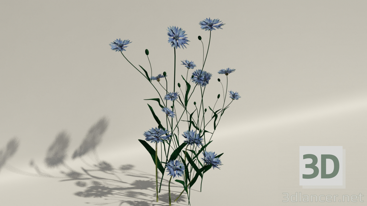3D Modell Lila Blüten - Vorschau