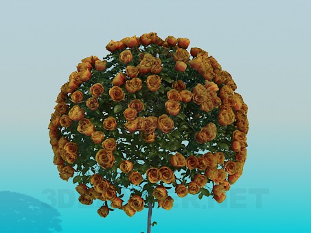 3 डी मॉडल गुलाब के साथ पेड़ - पूर्वावलोकन