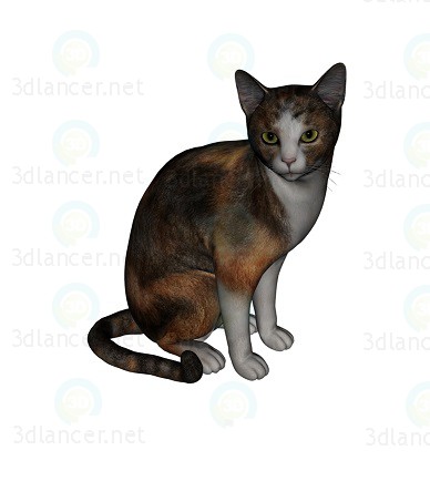 3d модель кіт Барсик 3 – превью